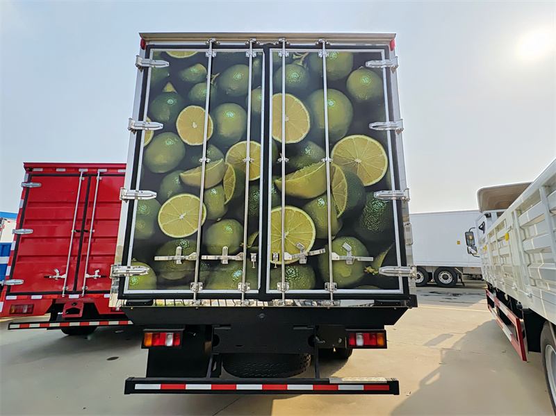 Howo light-duty 5tons chiller van