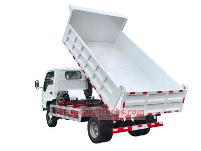 Isuzu ELF dumper truck