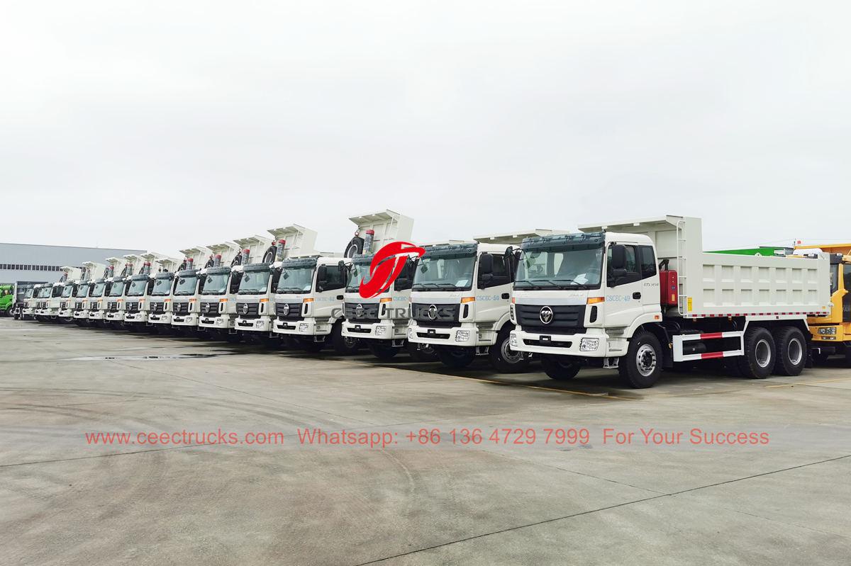 Aljazair-30 unit dump truck FOTON diekspor